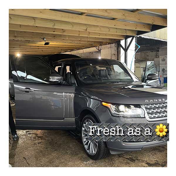 fresh as a daisy